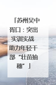 苏州吴中胥口：突出实训实战 助力年轻干部“壮苗抽穗”