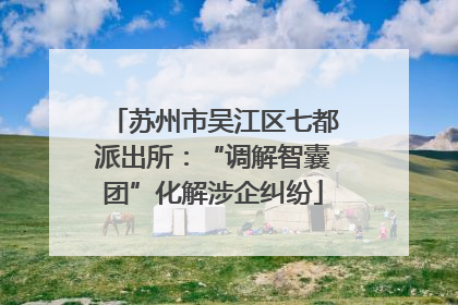 苏州市吴江区七都派出所：“调解智囊团”化解涉企纠纷