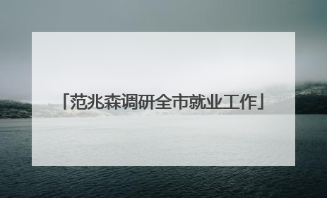 范兆森调研全市就业工作