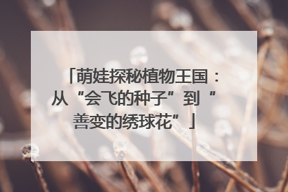 萌娃探秘植物王国：从“会飞的种子”到“善变的绣球花”