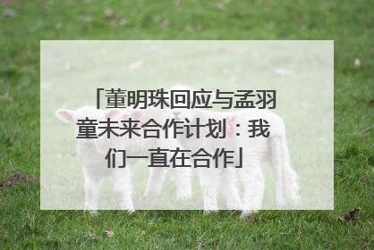 董明珠回应与孟羽童未来合作计划：我们一直在合作
