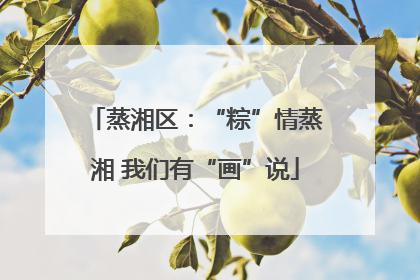 蒸湘区：“粽”情蒸湘 我们有“画”说
