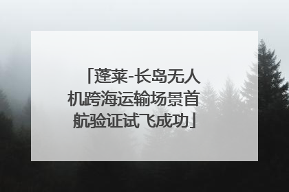 蓬莱-长岛无人机跨海运输场景首航验证试飞成功