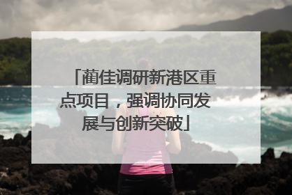 蔺佳调研新港区重点项目，强调协同发展与创新突破