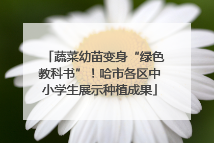 蔬菜幼苗变身“绿色教科书”！哈市各区中小学生展示种植成果