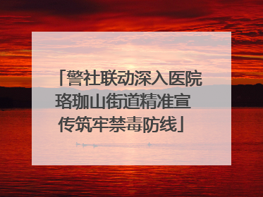 警社联动深入医院 珞珈山街道精准宣传筑牢禁毒防线