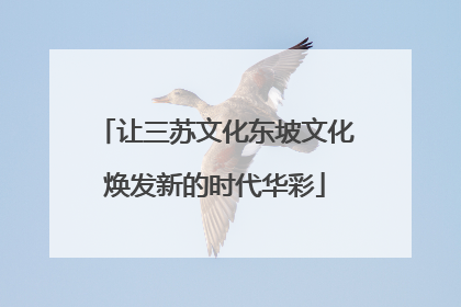 让三苏文化东坡文化焕发新的时代华彩