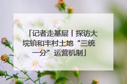 记者走基层丨探访大垸镇和丰村土地“三统一分”运营机制