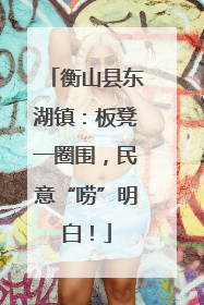 衡山县东湖镇：板凳一圈围，民意“唠”明白！