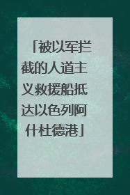 被以军拦截的人道主义救援船抵达以色列阿什杜德港