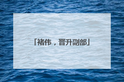 褚伟，晋升副部