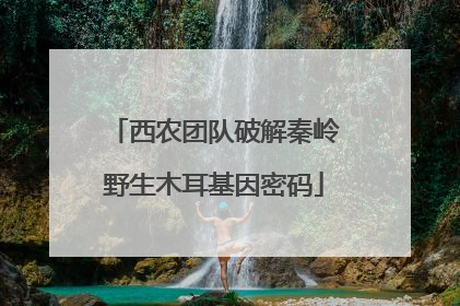 西农团队破解秦岭野生木耳基因密码