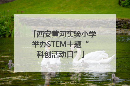 西安黄河实验小学举办STEM主题“科创活动日”