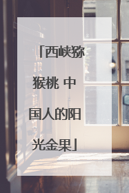 西峡猕猴桃 中国人的阳光金果