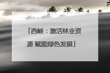 西峡：激活林业资源 赋能绿色发展