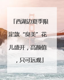 西湖边夏季限定款“臭美”花儿盛开，高颜值，只可远观