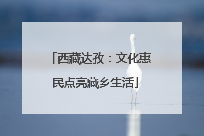 西藏达孜：文化惠民点亮藏乡生活