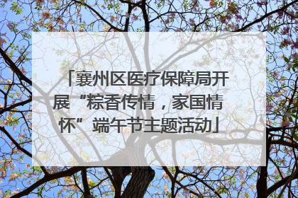 襄州区医疗保障局开展“粽香传情，家国情怀”端午节主题活动