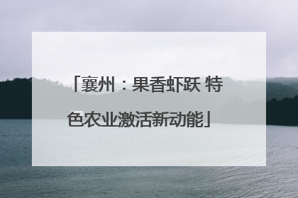 襄州：果香虾跃 特色农业激活新动能