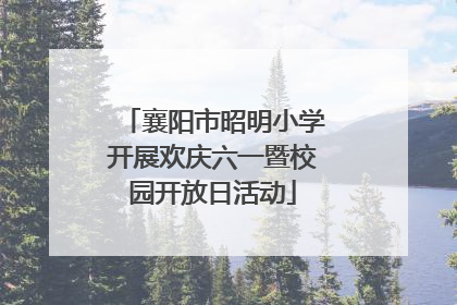 襄阳市昭明小学开展欢庆六一暨校园开放日活动