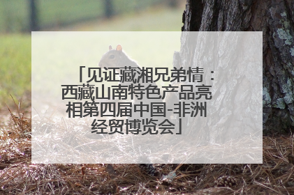 见证藏湘兄弟情：西藏山南特色产品亮相第四届中国-非洲经贸博览会