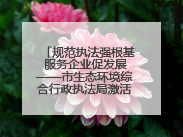 规范执法强根基 服务企业促发展——市生态环境综合行政执法局激活营商环境“绿色动能”