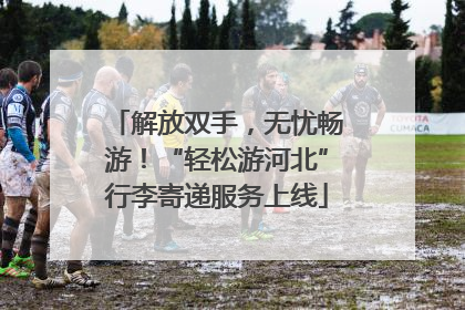 解放双手，无忧畅游！“轻松游河北”行李寄递服务上线