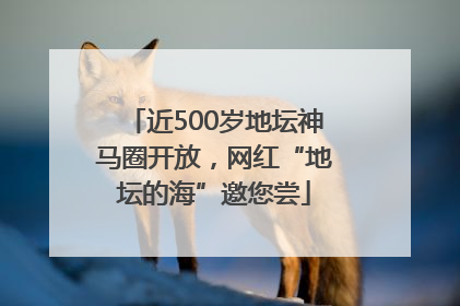 近500岁地坛神马圈开放，网红“地坛的海”邀您尝
