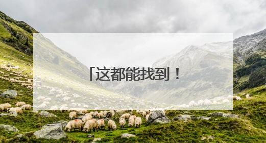 这都能找到！威海的这个村子发现水杉秘境