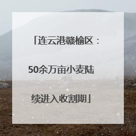 连云港赣榆区：50余万亩小麦陆续进入收割期