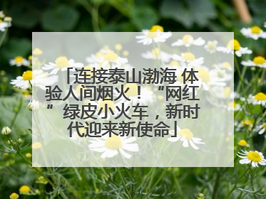 连接泰山渤海 体验人间烟火！“网红”绿皮小火车，新时代迎来新使命