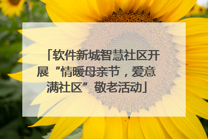 软件新城智慧社区开展“情暖母亲节，爱意满社区”敬老活动