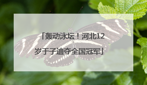 轰动泳坛！河北12岁于子迪夺全国冠军
