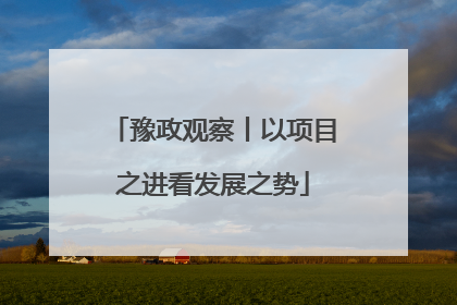 豫政观察丨以项目之进看发展之势