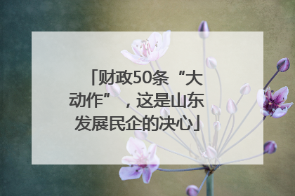 财政50条“大动作”，这是山东发展民企的决心