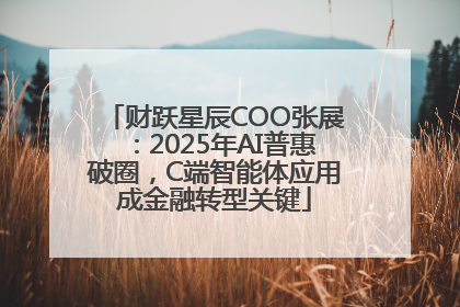 财跃星辰COO张展：2025年AI普惠破圈，C端智能体应用成金融转型关键