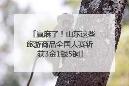 赢麻了！山东这些旅游商品全国大赛斩获3金1银5铜