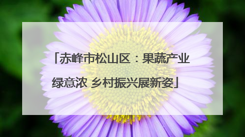 赤峰市松山区：果蔬产业绿意浓 乡村振兴展新姿