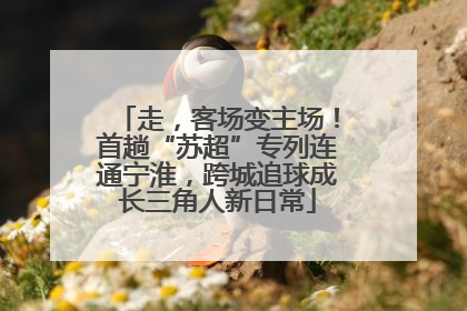 走，客场变主场！首趟“苏超”专列连通宁淮，跨城追球成长三角人新日常