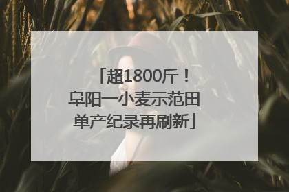 超1800斤！阜阳一小麦示范田单产纪录再刷新