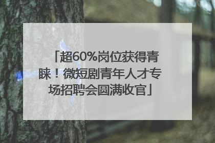 超60%岗位获得青睐！微短剧青年人才专场招聘会圆满收官