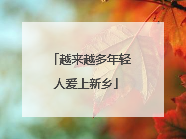 越来越多年轻人爱上新乡