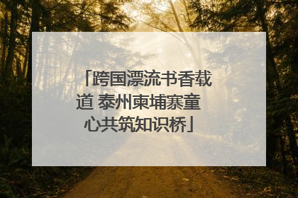 跨国漂流书香载道 泰州柬埔寨童心共筑知识桥