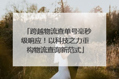 跨越物流查单号毫秒级响应！以科技之力重构物流查询新范式
