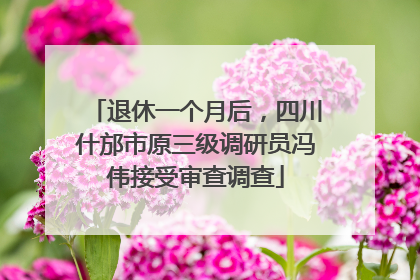 退休一个月后，四川什邡市原三级调研员冯伟接受审查调查