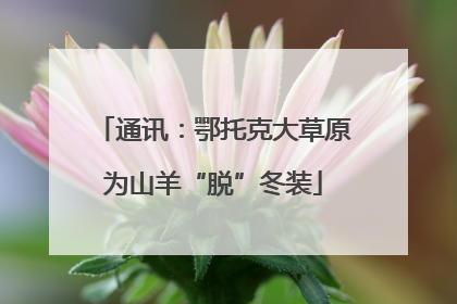 通讯：鄂托克大草原为山羊“脱”冬装