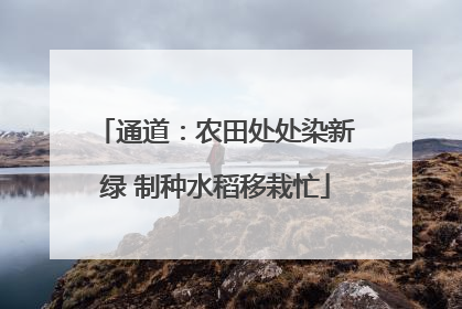 通道：农田处处染新绿 制种水稻移栽忙