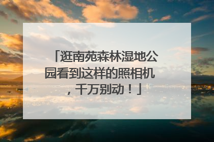 逛南苑森林湿地公园看到这样的照相机，千万别动！