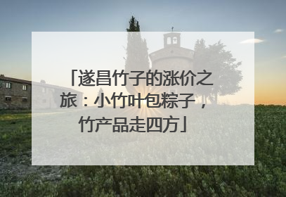 遂昌竹子的涨价之旅：小竹叶包粽子，竹产品走四方