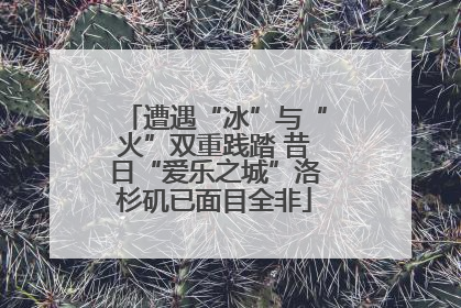 遭遇“冰”与“火”双重践踏 昔日“爱乐之城”洛杉矶已面目全非
